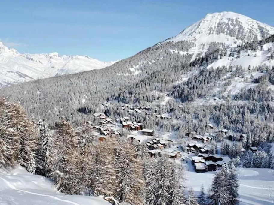 Chalet Dakota, Pied Des Pistes, 15 Pers, Ла-Плань 0*,  Франция
