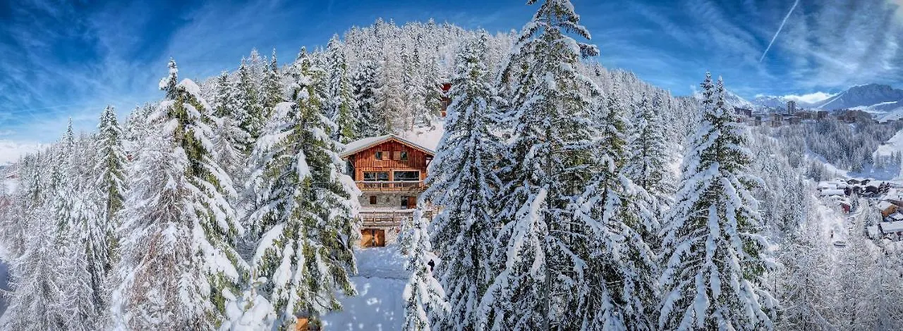 Chalet Dakota, Pied Des Pistes, 15 Pers, Ла-Плань